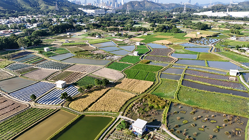 About Long Valley Nature Park (1)